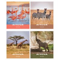 Тетрадь 48л., А5, клетка ArtSpace "Животные. Nature of Africa", суперэконом Тетрадь 48л., А5, клетка ArtSpace "Животные. Nature of Africa", суперэконом